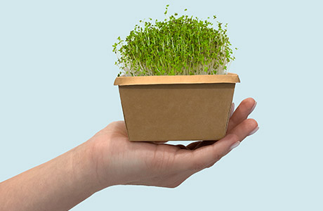 Ecology is caring for the planet without compromise